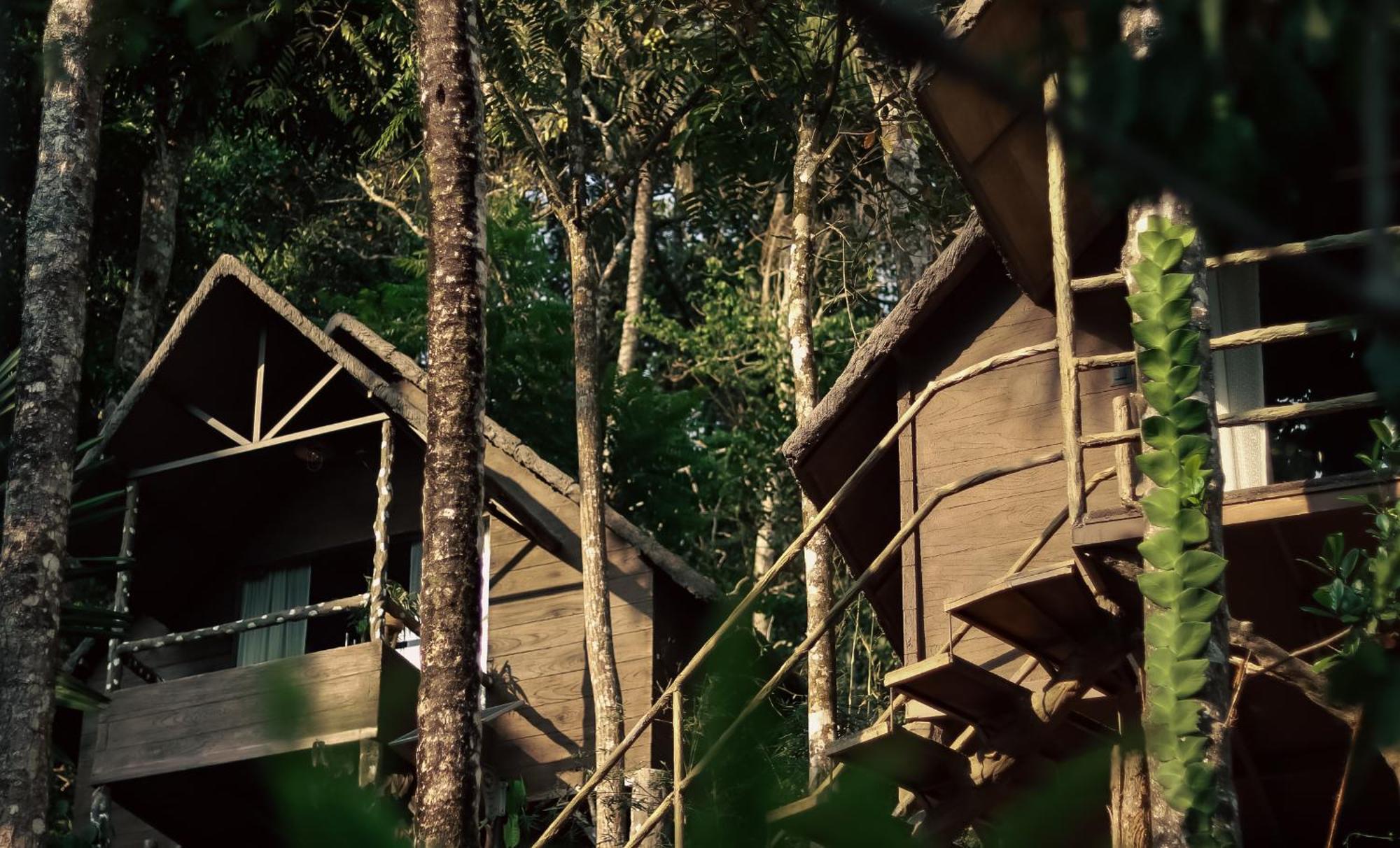 Panchavadi Farm Stay Thekkady Εξωτερικό φωτογραφία